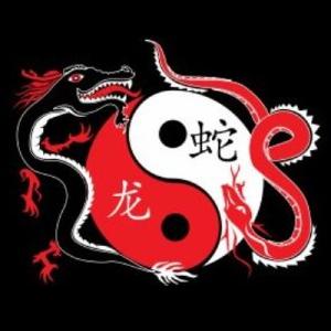 Dragon Snake Martial Arts | Martial Arts in Malmesbury